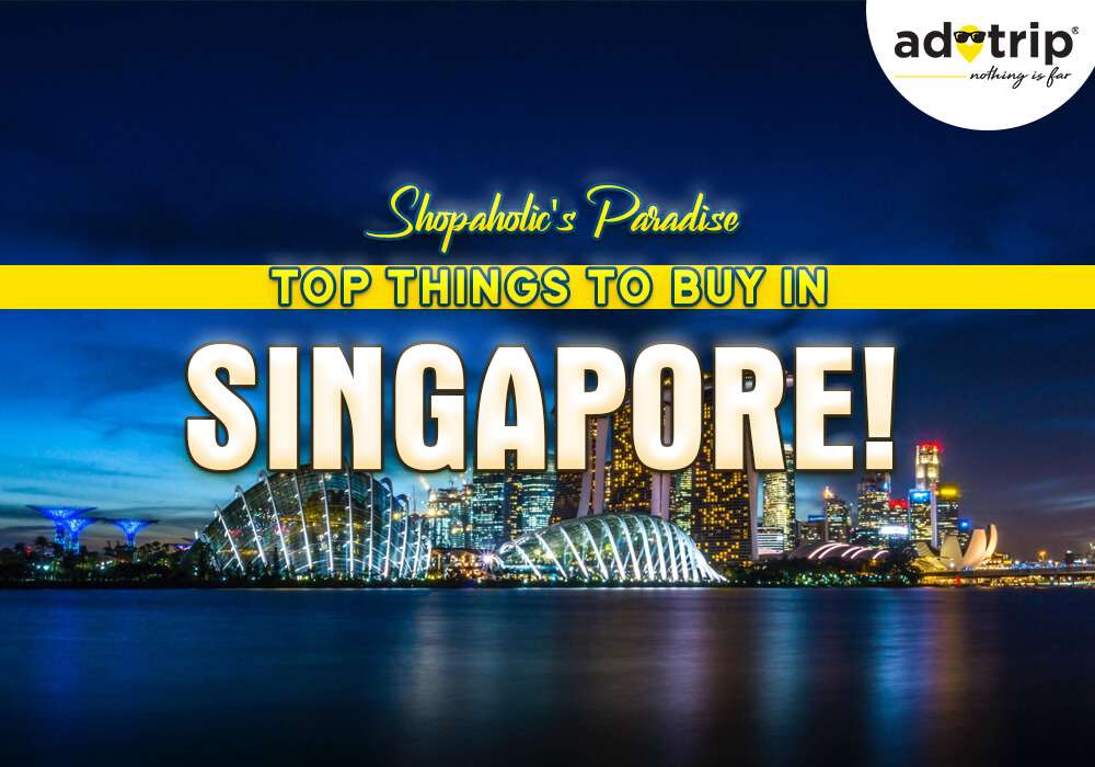 Things to Buy in Singapore